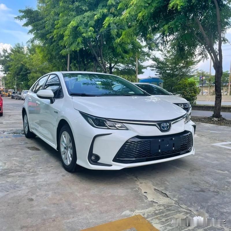 选家用车，我真心首推卡罗拉双擎。

平时上下班、接娃、买菜、全家出门，它都特别省