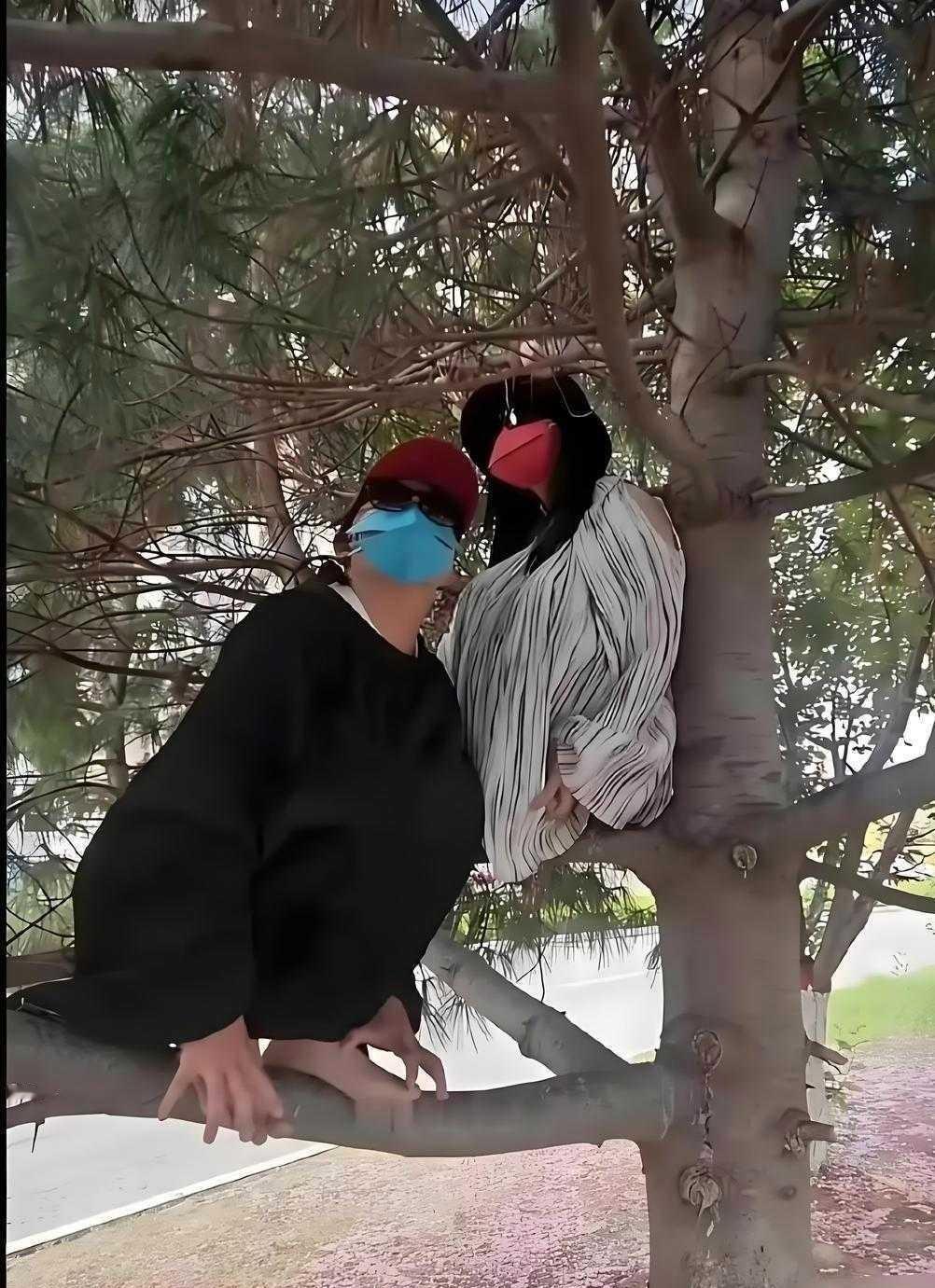 唉呀妈呀，这两人咋上树了？

某地郊外，初看还以为树上停着一对“爱情鸟”后细看才