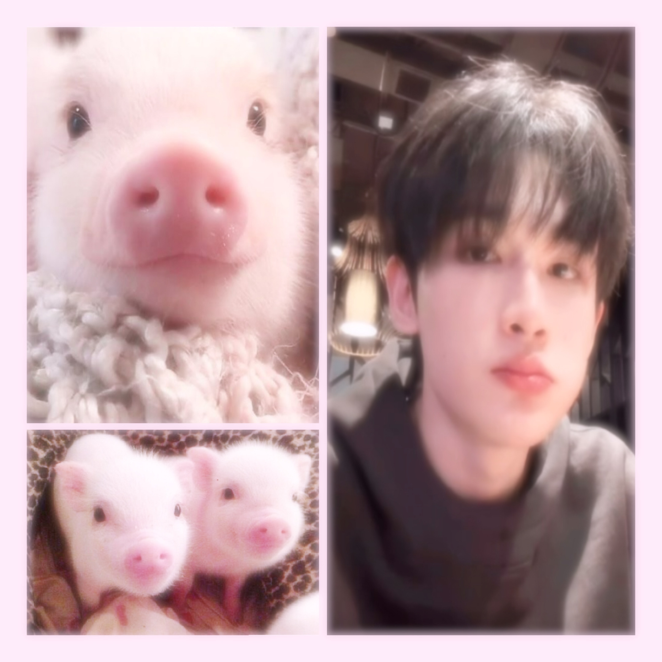 ꒰ᐡ > ⚇ o̴̶̷̤ ᐡ꒱♡ 