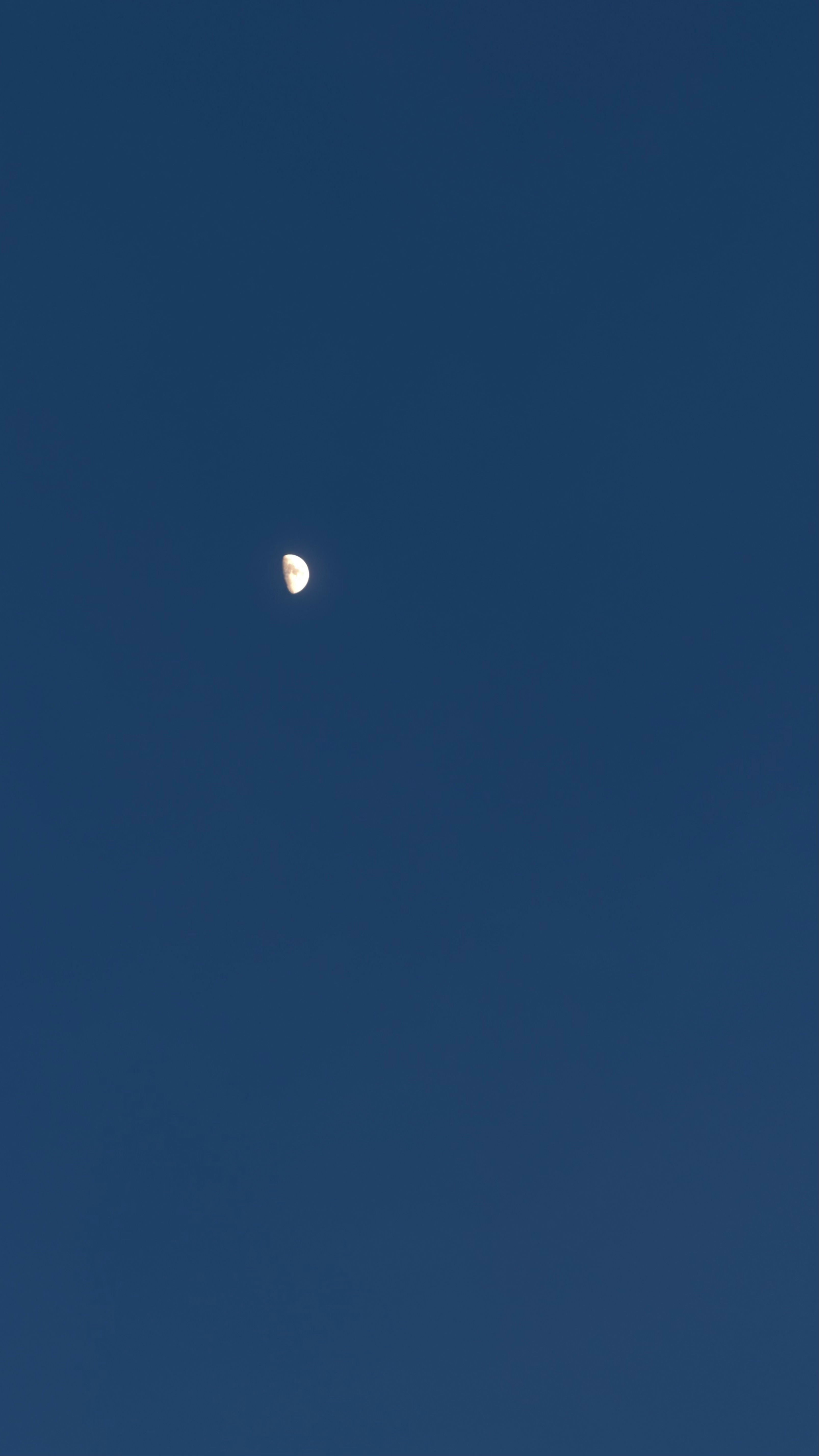 🌙 