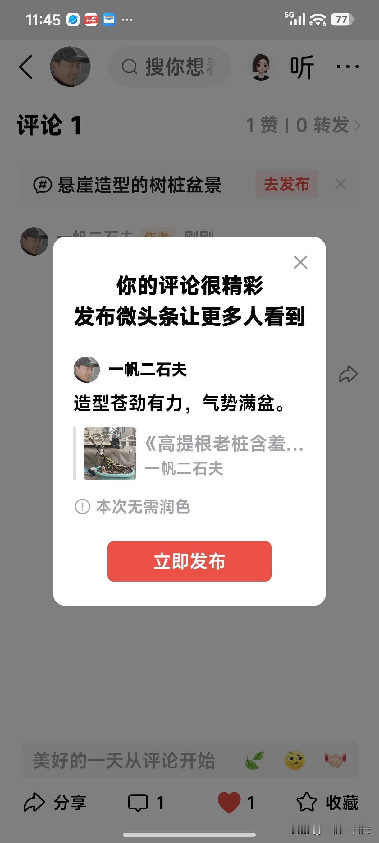 《小 盆 景 尽 显 大 气 势》
       造型苍劲有力，气势满盆。是天然