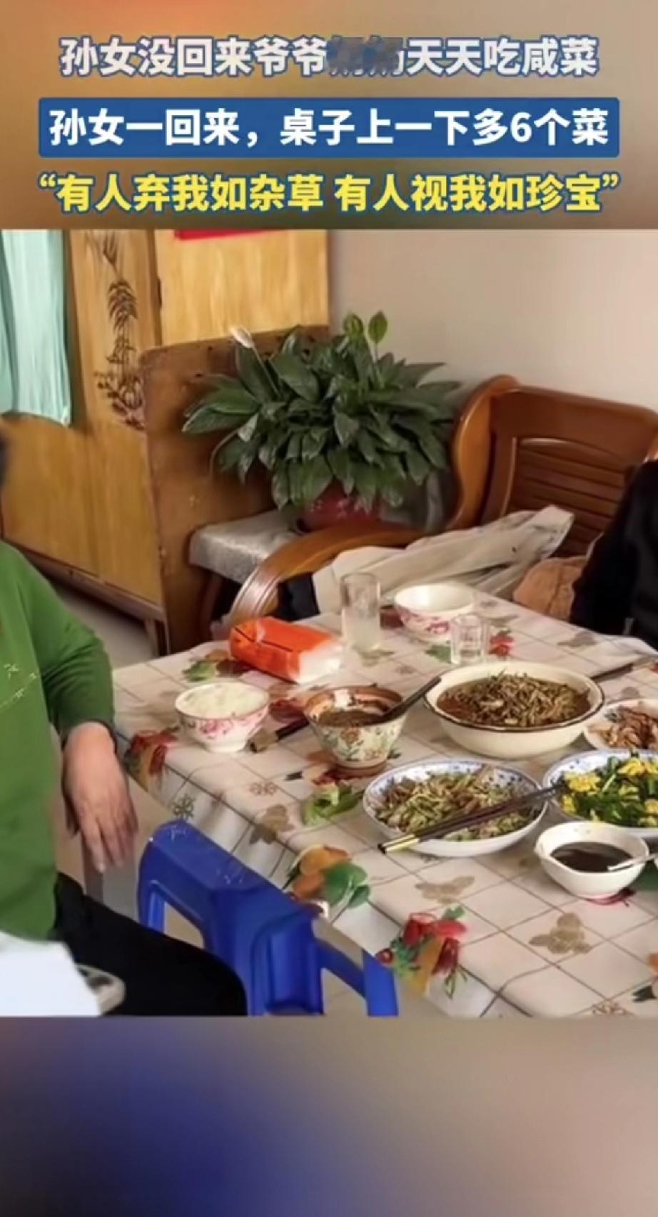 孙女没回来时，老两口天天咸菜凑合，饭桌冷冷清清。可孙女一回来，桌上立马多了好几个