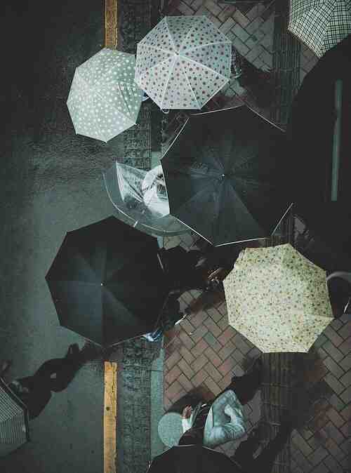 道路是否正确，要看以后的行动。                 ——  东野圭吾