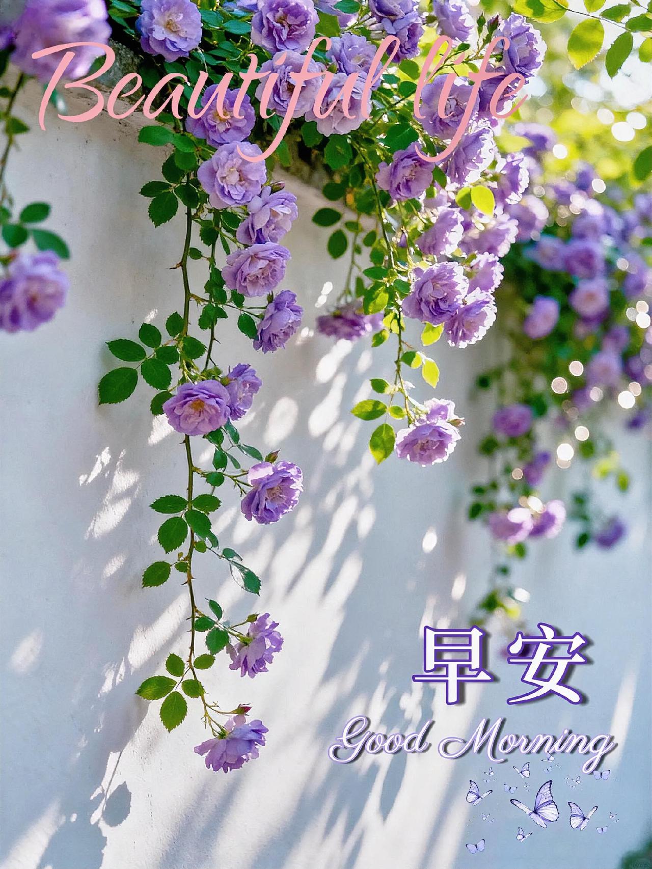 早安！当温柔的晨光像个调皮的小精灵，轻轻跳到你的窗前，美好的一天就像被上了发条，