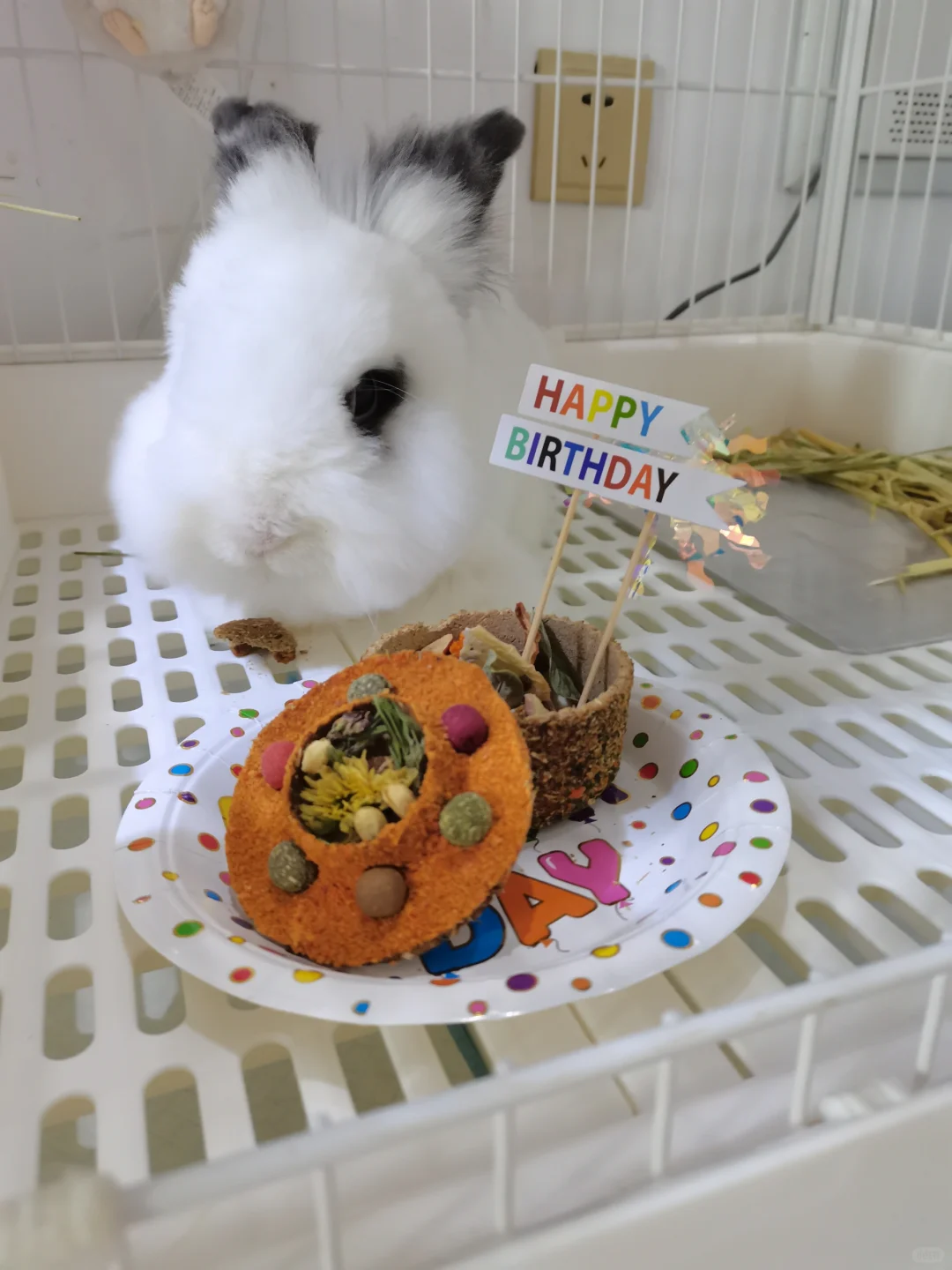 我的小宝5岁啦～