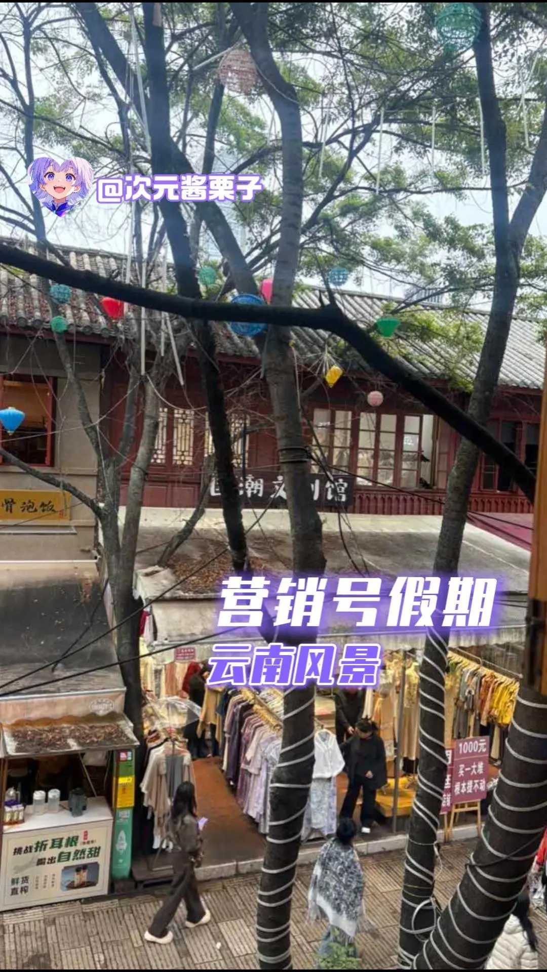 营销号假期，云南风景。