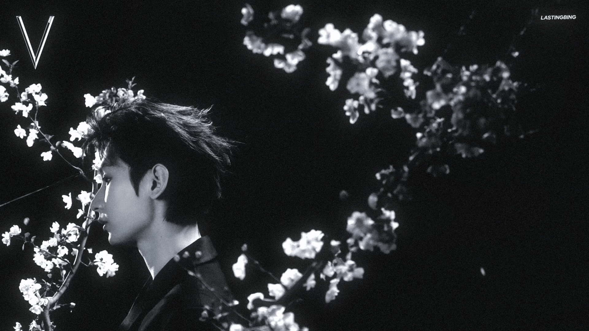 于无声处，见繁花，见锋芒。 