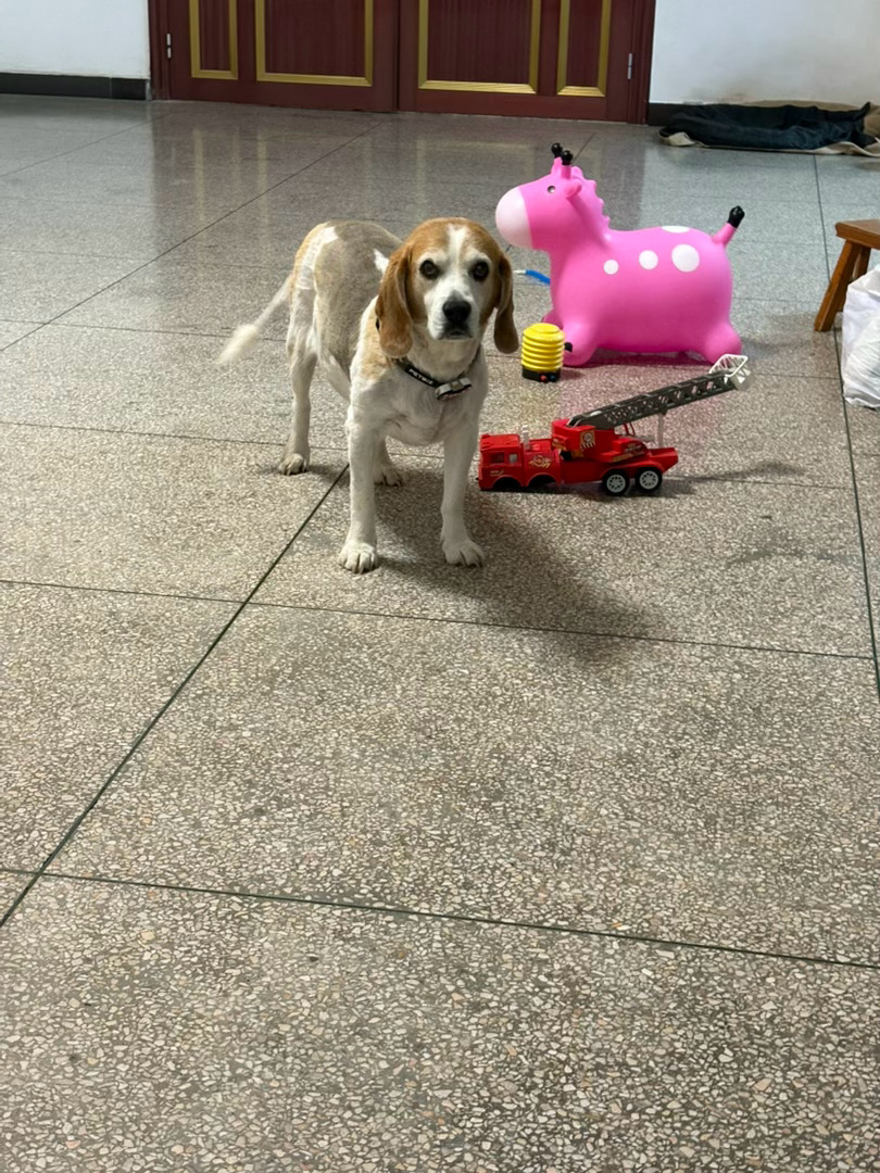干嘛？ 