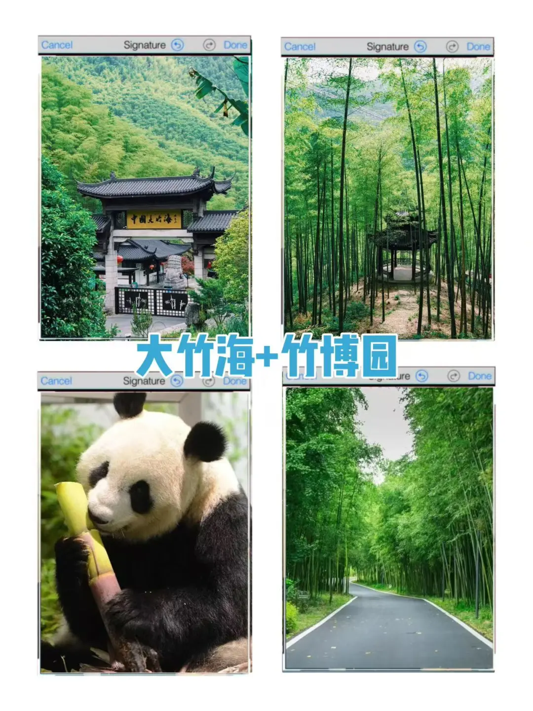 省心省力‼安吉爆款两天一夜温泉团建攻略