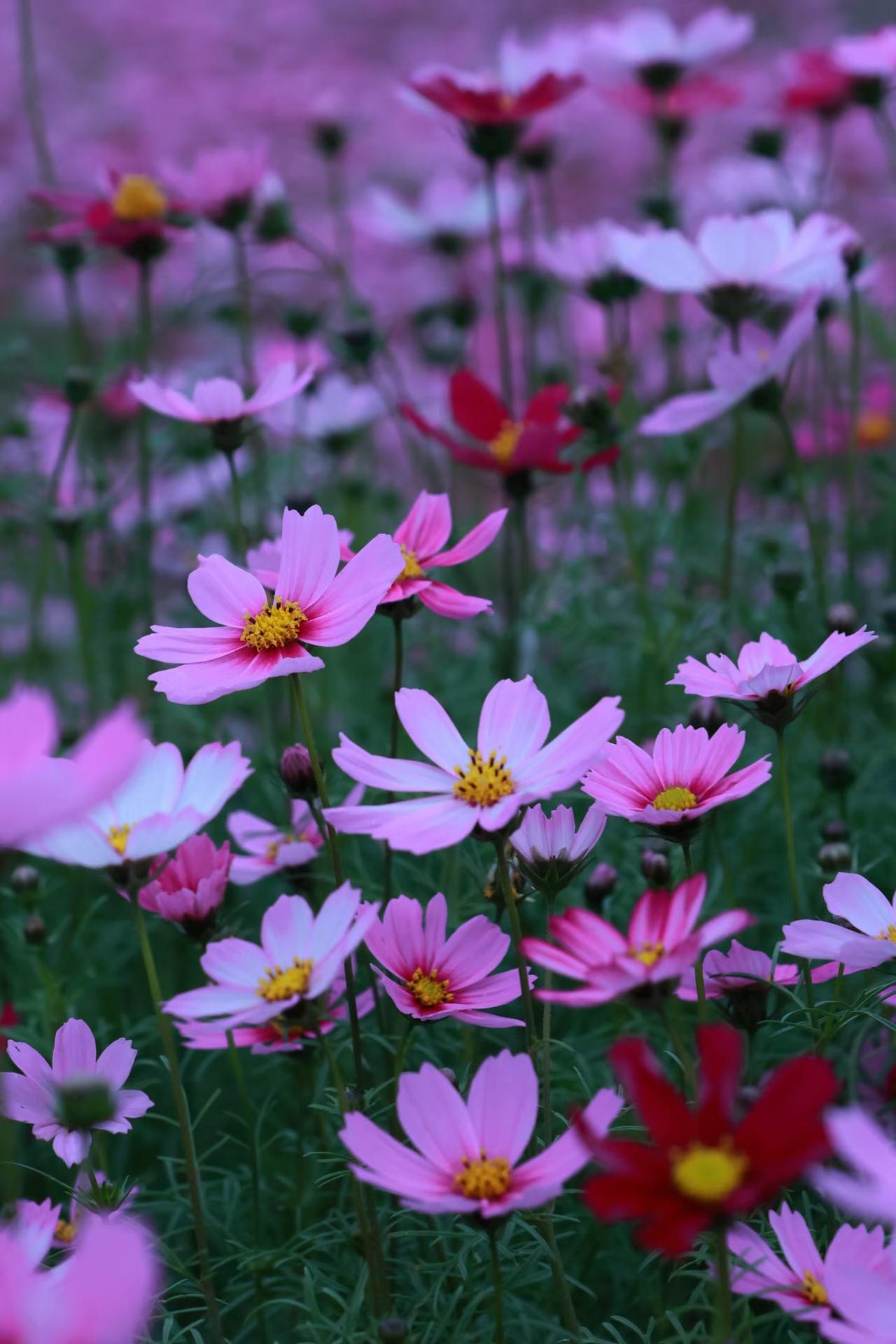 选择一个人，就是选择一种生活方式。你要找的，不是那个条件最好的人，而是那个能和你