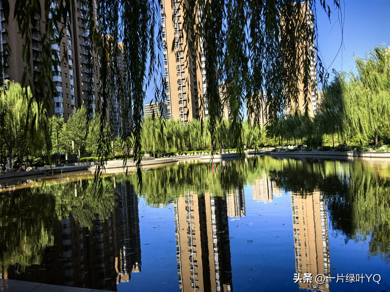 绿荫遮烈日，静享夏日悠然时光。