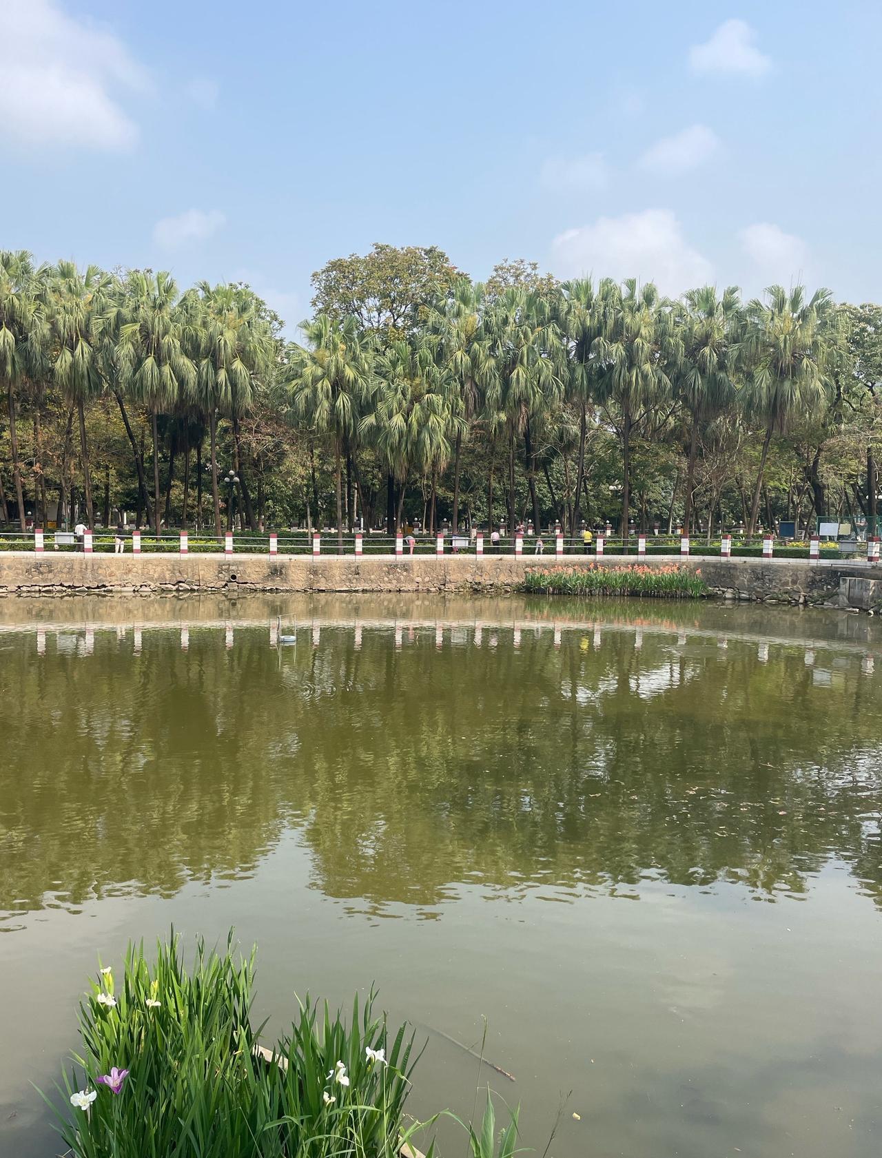 隐藏在五羊新城中的小公园
📍广州 珠江宾馆
本来想去一间网红素食店吃饭的，误打