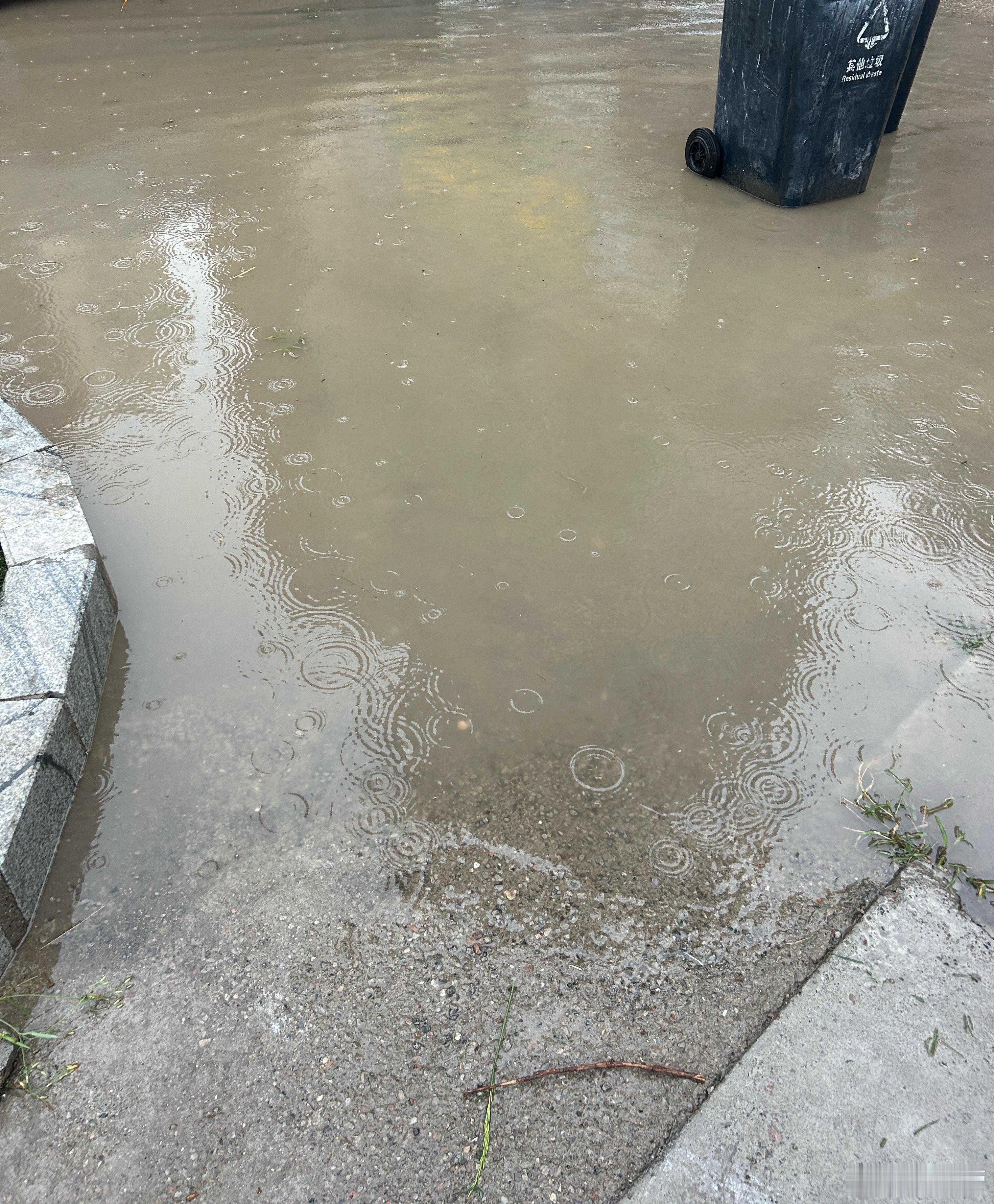 下这么大雨吗？水好深啊，我都过不去了。 