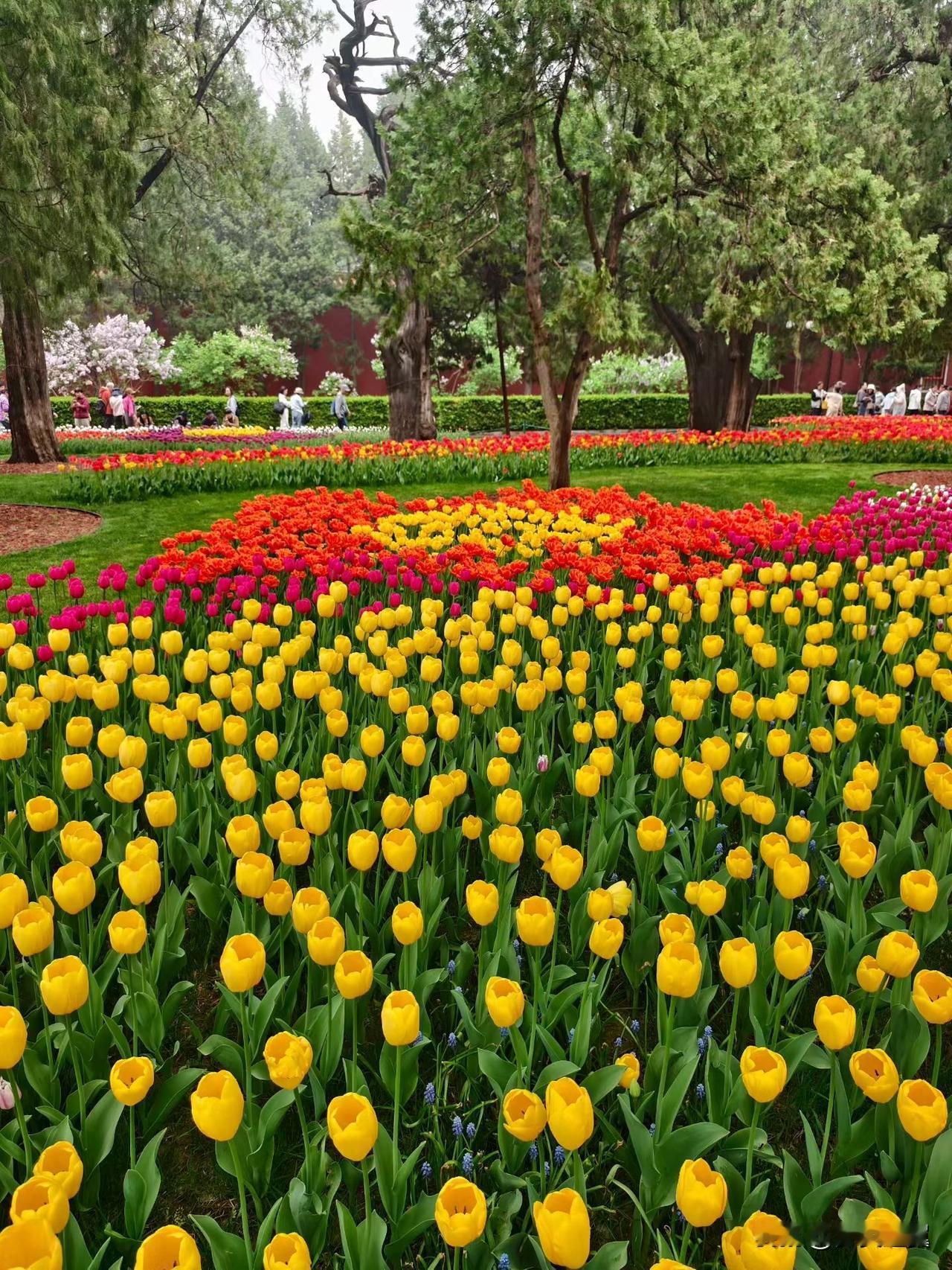 … 
【小对联】
上：……？
下：闺房。