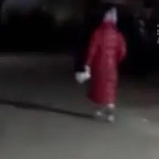 北京通州的业主用喇叭日夜循环“谁杀了我的大公鸡”，一边是痛失宠物的愤怒宣泄，一边