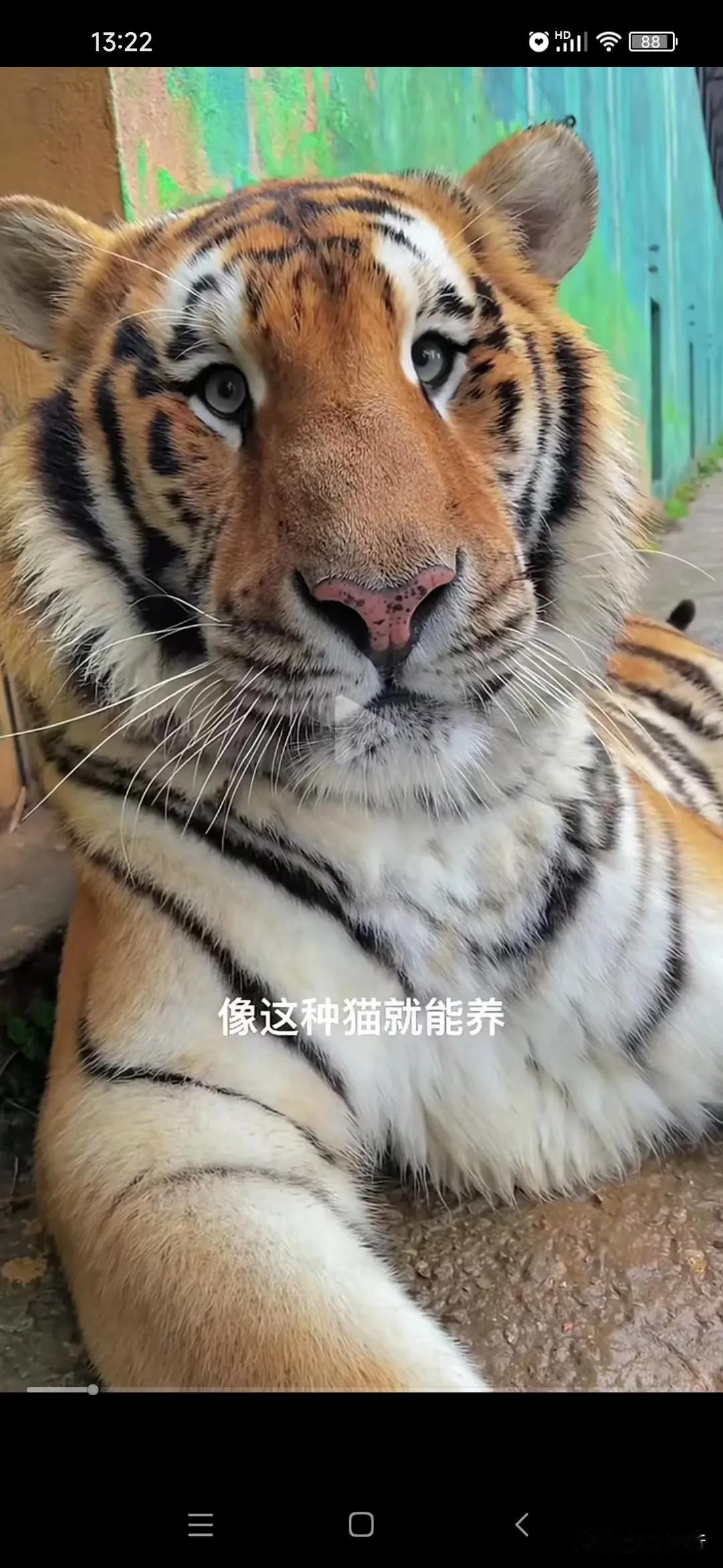 西方人容易过敏，真相是什么？我看网上讨论，没一个说到点子上的。

西方人先天体质
