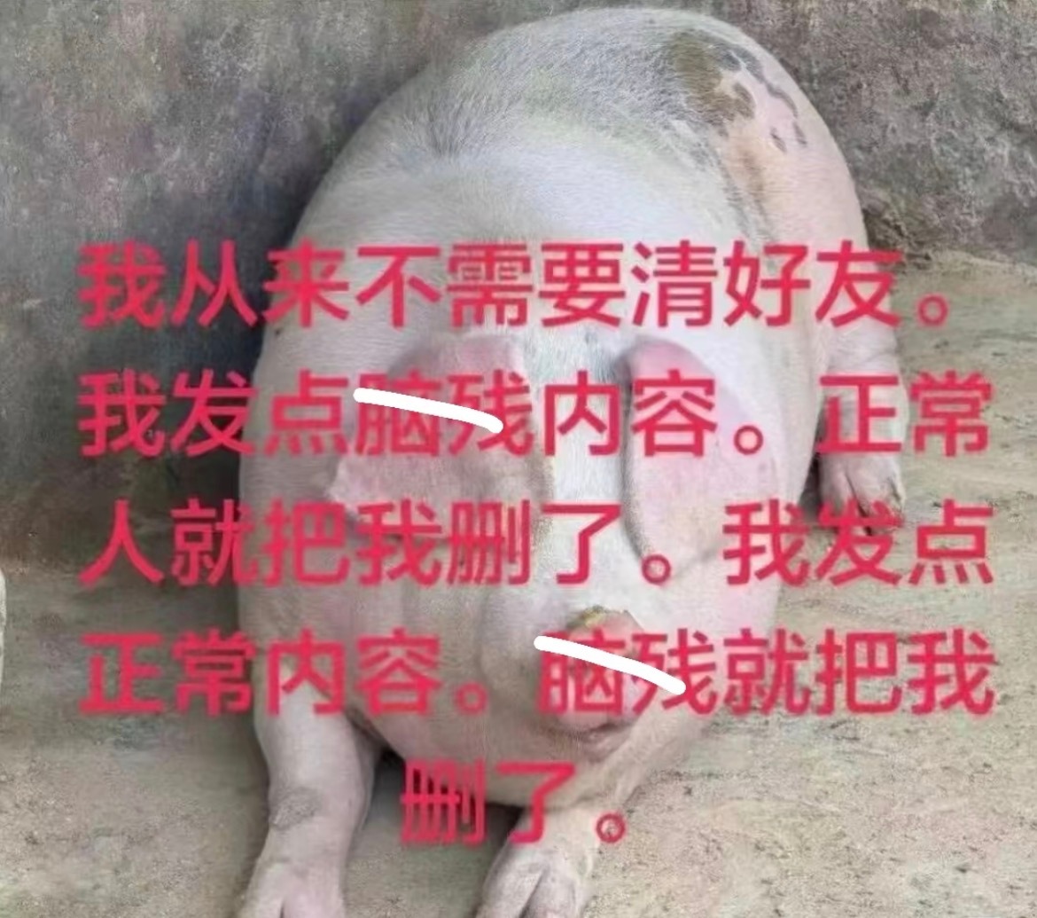这个世界你继续吧 