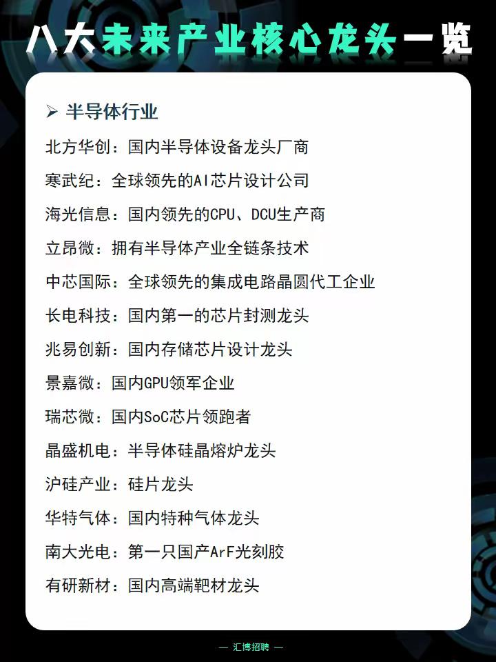 🔥【八大未来产业核心龙头全梳理！】谁是你心中的“科技脊梁”？

从半导体到商业