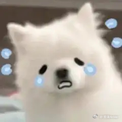 害以为徐彩能和沛慈一起上芒果夜呢而且还有庄法也在，喜欢她们仨一起玩