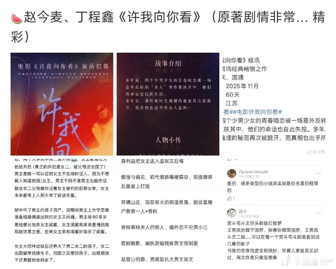 赵今麦方打假网传项目赵今麦对接否认网传项目 赵今麦方亲自打假网传项目 ​​​