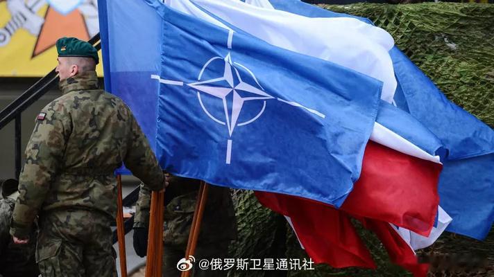 【北约秘书长：目前北约认为与俄罗斯发生冲突的威胁并不现实】 俄罗斯卫星通讯社布鲁