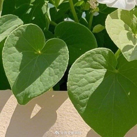 人只要能够一直自我更新和成长，就不会太在意已经过去了的自己，就不存在什么一去不复