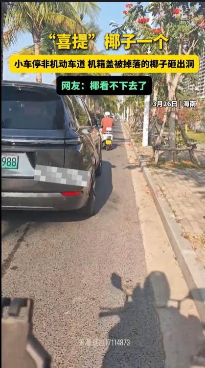 刚从海南三亚回来，深深知道没事时特别是刮风天千万不要站到椰子树下，因为说不定什么