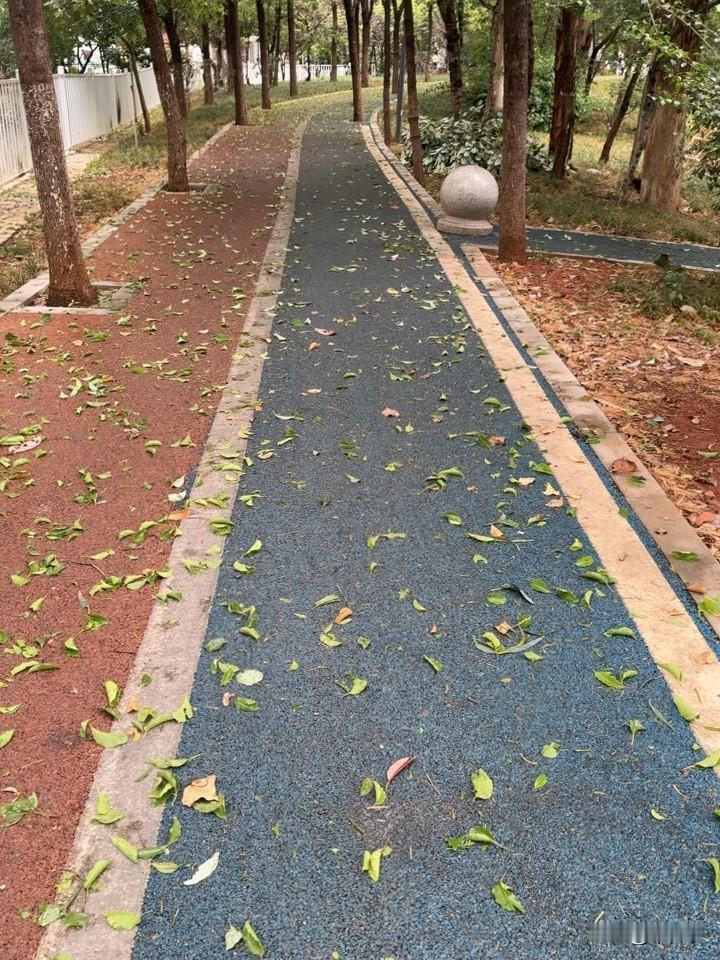 昨天晚上下昆明下冰雹了，早晨起来，看到打掉了一地的树叶。

很奇怪的，昆明虽然到