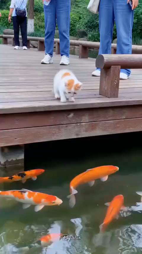 这孩子算是废了。