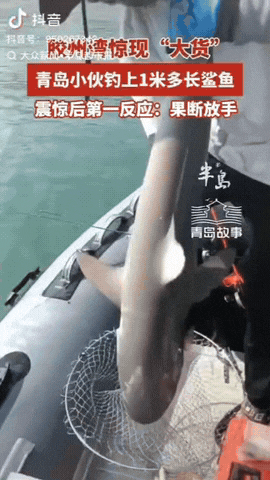 山东青岛，一男子在胶州湾钓鱼时，没想到“大货”上钩了，钓上来发现居然是一条1米多