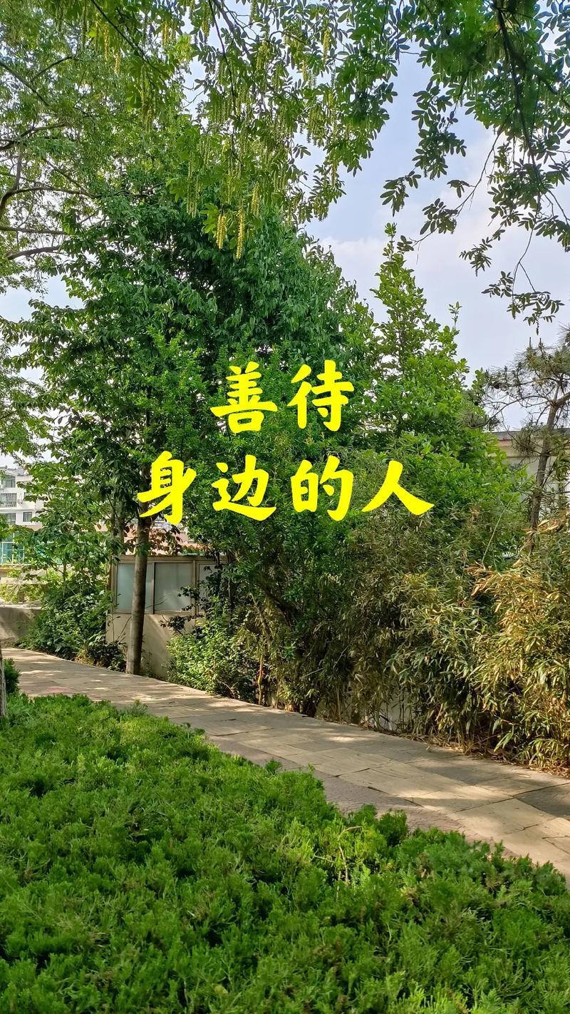 善待身边的人
       生活节奏快，我们常忽略身边人。我曾忙于工作，和家人朋