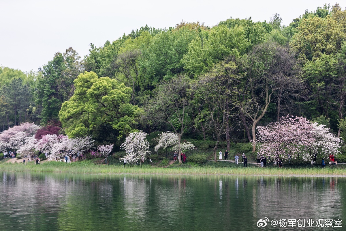 【股权激励核心：筛选激励对象是“投资决策”，不是“福利分配”】股权激励的本质，是