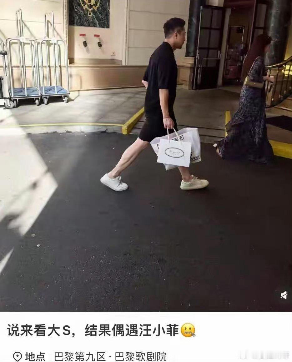 说来看大S结果偶遇大S前夫大S粉丝巴黎偶遇大S前夫和马筱梅马筱梅母亲待霖霖玥儿如