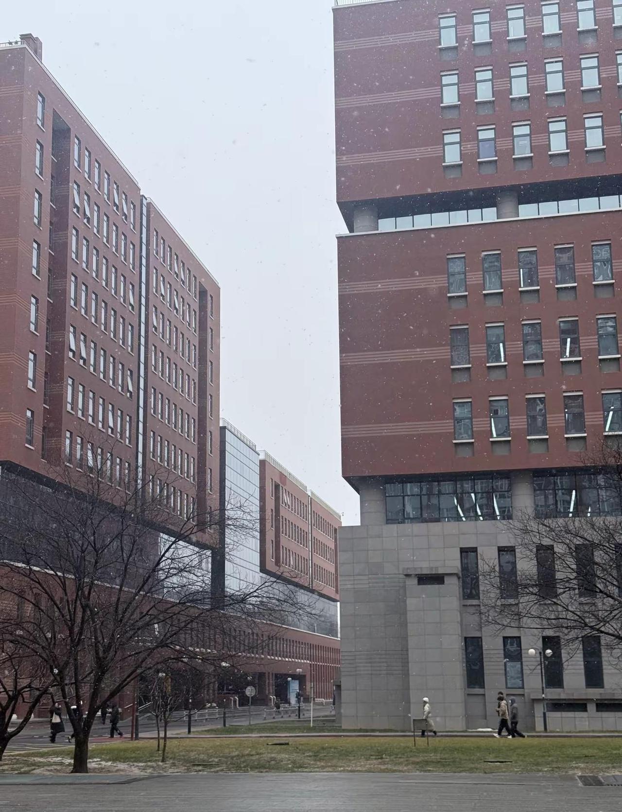 下雪啦❄️ 北京下雪