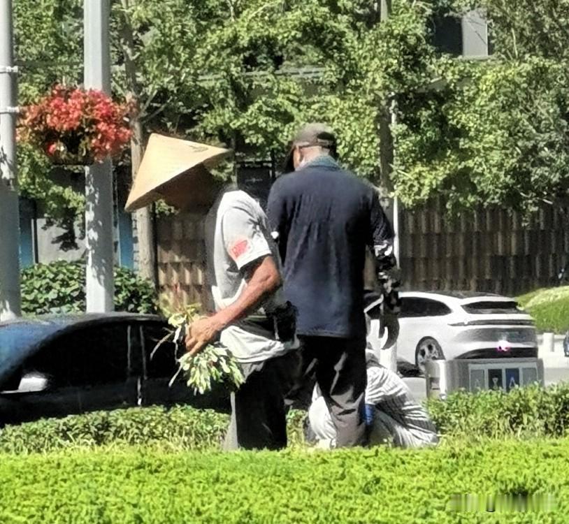 又是热浪滚滚的一天，还有老人在花坛拔草！

现在中午大连气温35度，体感温度40