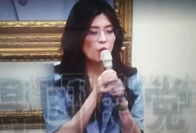 郑丽文堪称岛内政坛百年难遇的奇才，甚至有人戏称她是“郑成功魂兮归来”。不论传说真