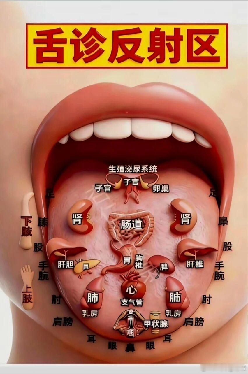 化解口腔溃疡，只需一味中药！      口腔溃疡虽然不是什么大病，但也挺烦人的。