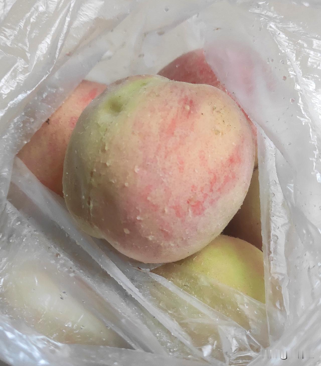 （原创）芦墟记忆·腌桃爿
友农根金早上五点多给我电话，说出来卖菜，顺便带了一点自