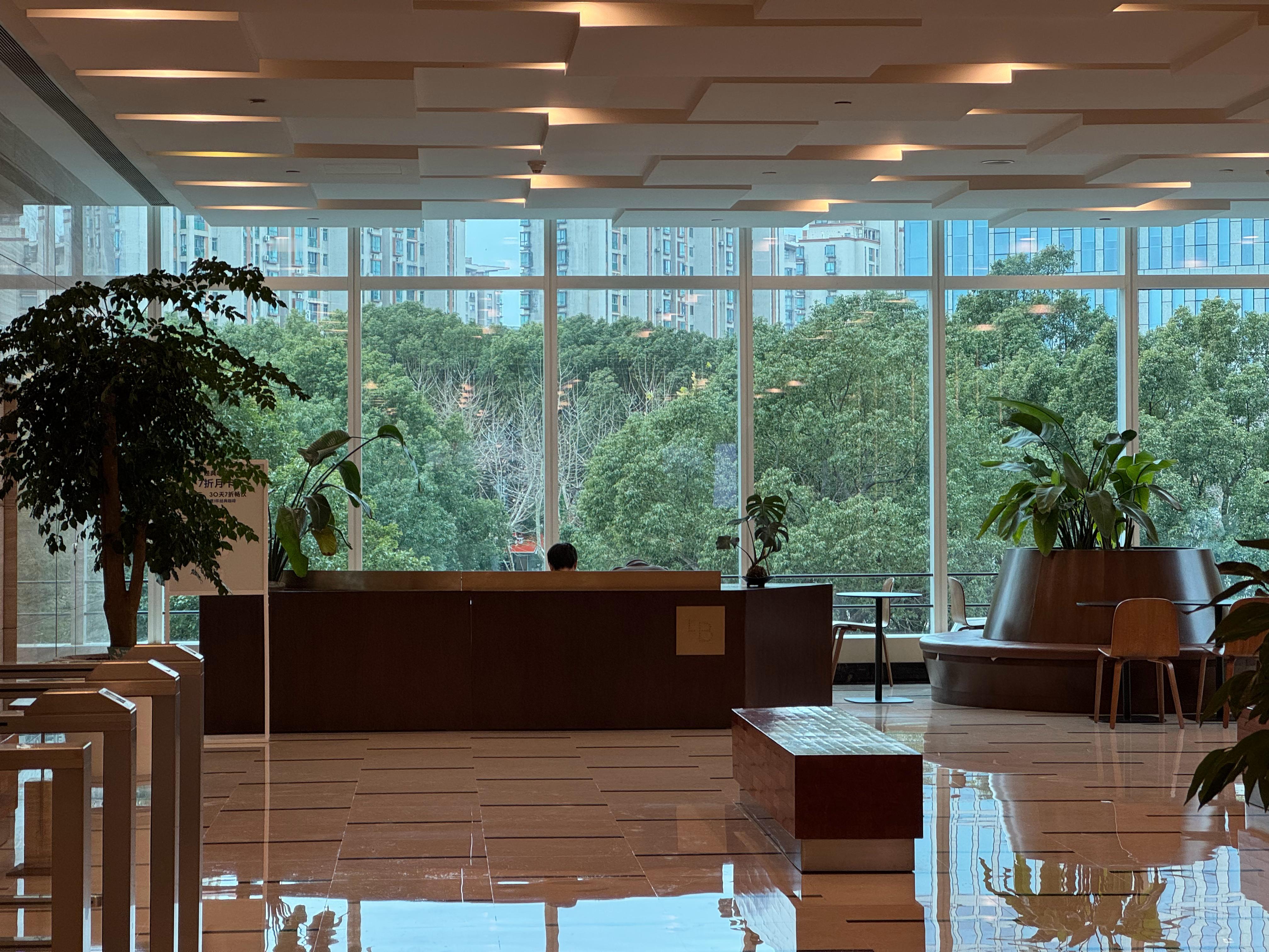 浦东嘉里的这个LB有点东西，同时能看到水泥的森林和树木的森林。 