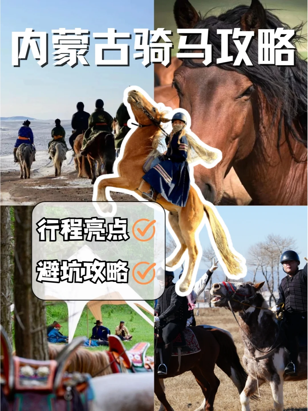 呼和浩特骑马旅行攻略🐎在马背上感受激情