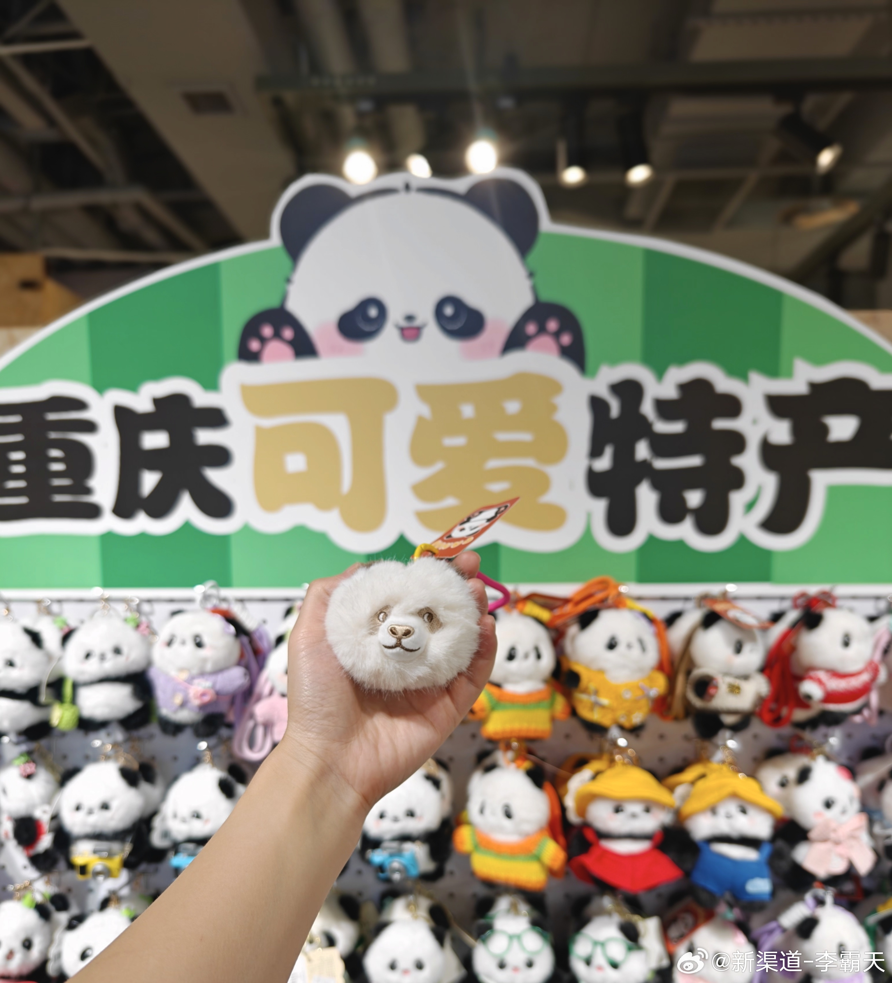 哪里来的妖怪？混在熊猫堆里装可爱！霸天出游记 ​​​