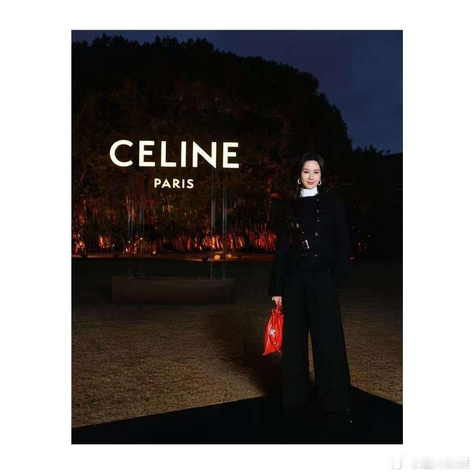 刘诗诗新春晚宴刘诗诗CELINE新春晚宴刘诗诗新春晚宴，好美啊， 