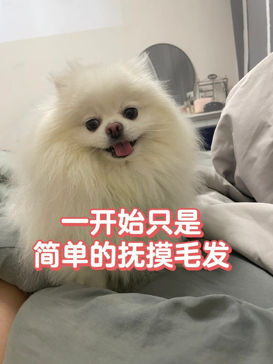 不建议养狗，因为人会越来越变态