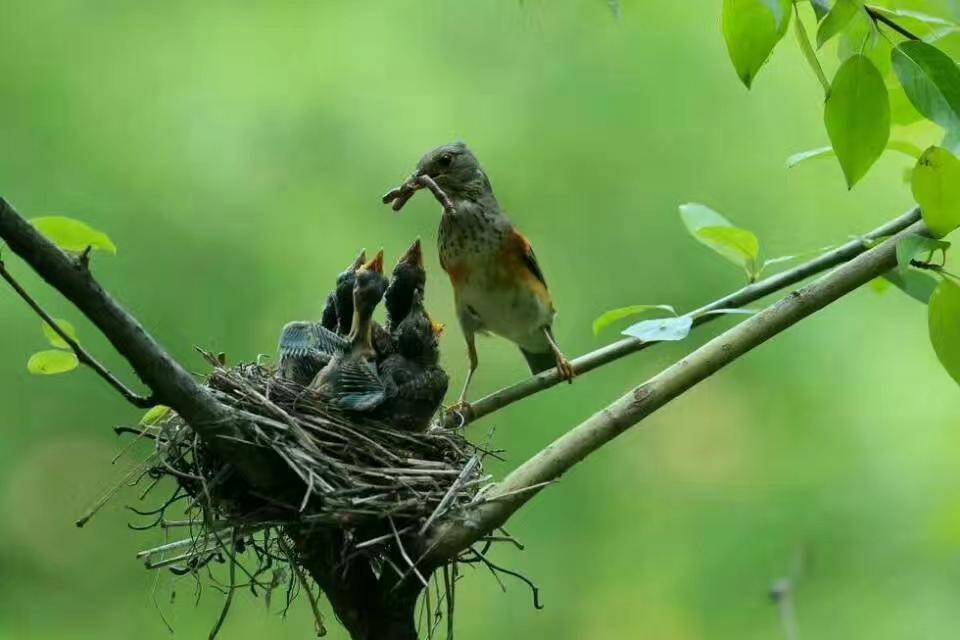 到了一定年龄， 必须扔掉四样东西： 没意义的酒局， 不爱你的人， 看不起你的亲戚