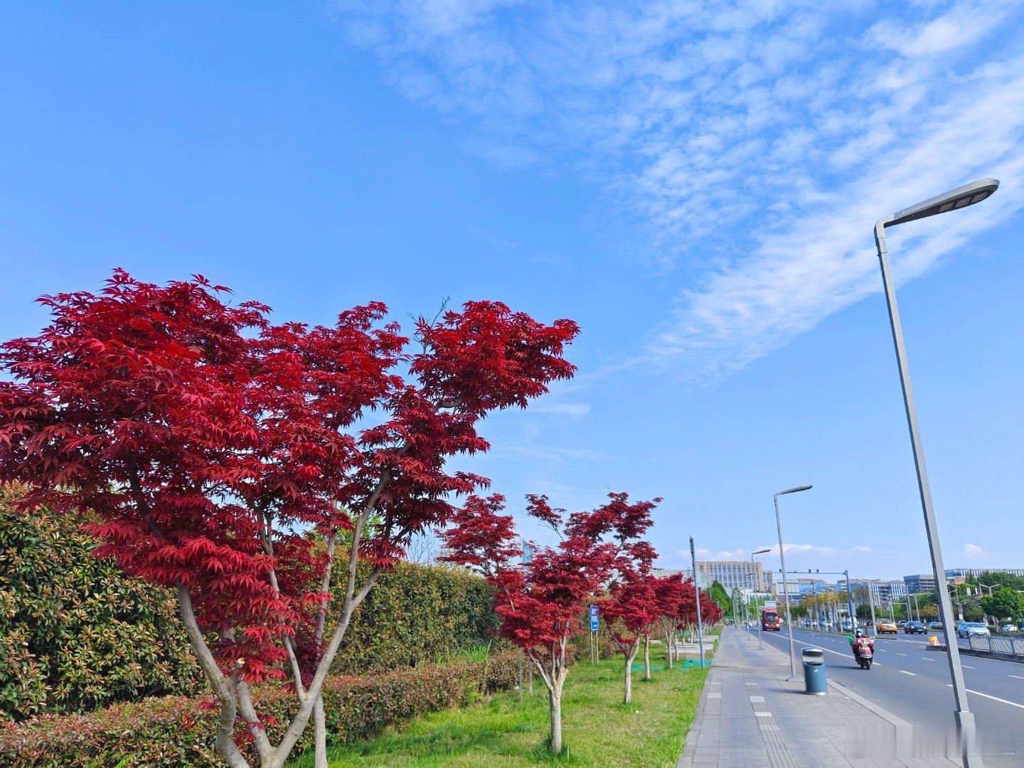 《自行车》自行车并不是摩托车电瓶车，并不会自行，是人驱动车成全一加一大于二的聚合