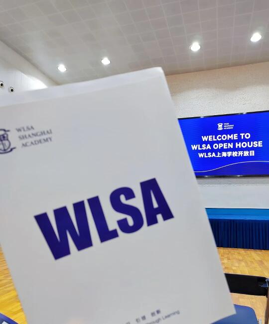 关于WLSA你们有什么想问的?