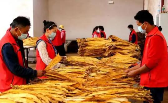 河南一小伙投资200万自己造香烟，七天回本，55天赚了上亿元。被抓时他不服气：烟