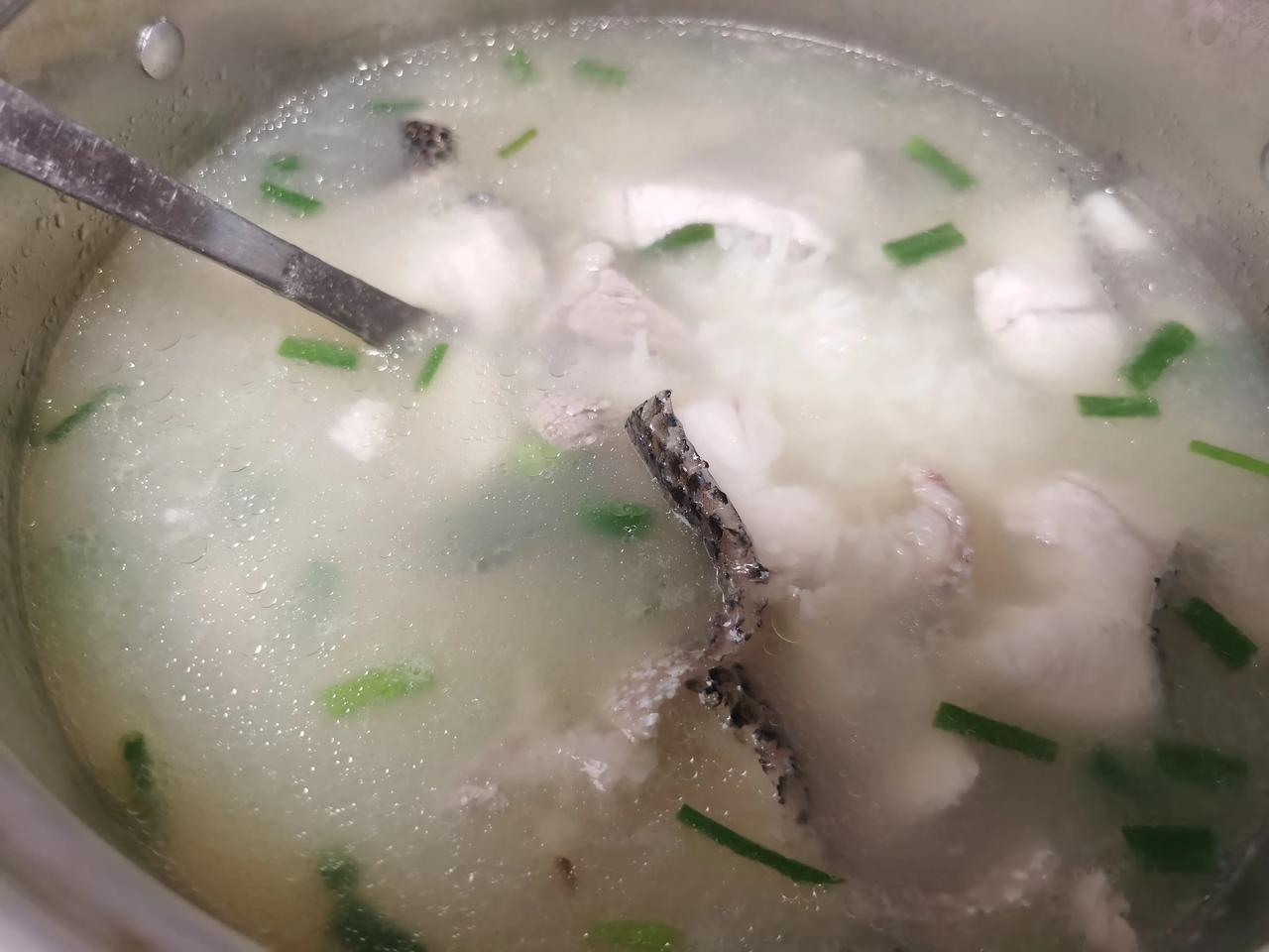 #我的早餐日记# 早餐喜欢吃粥，简单清淡，打卡鱼片粥