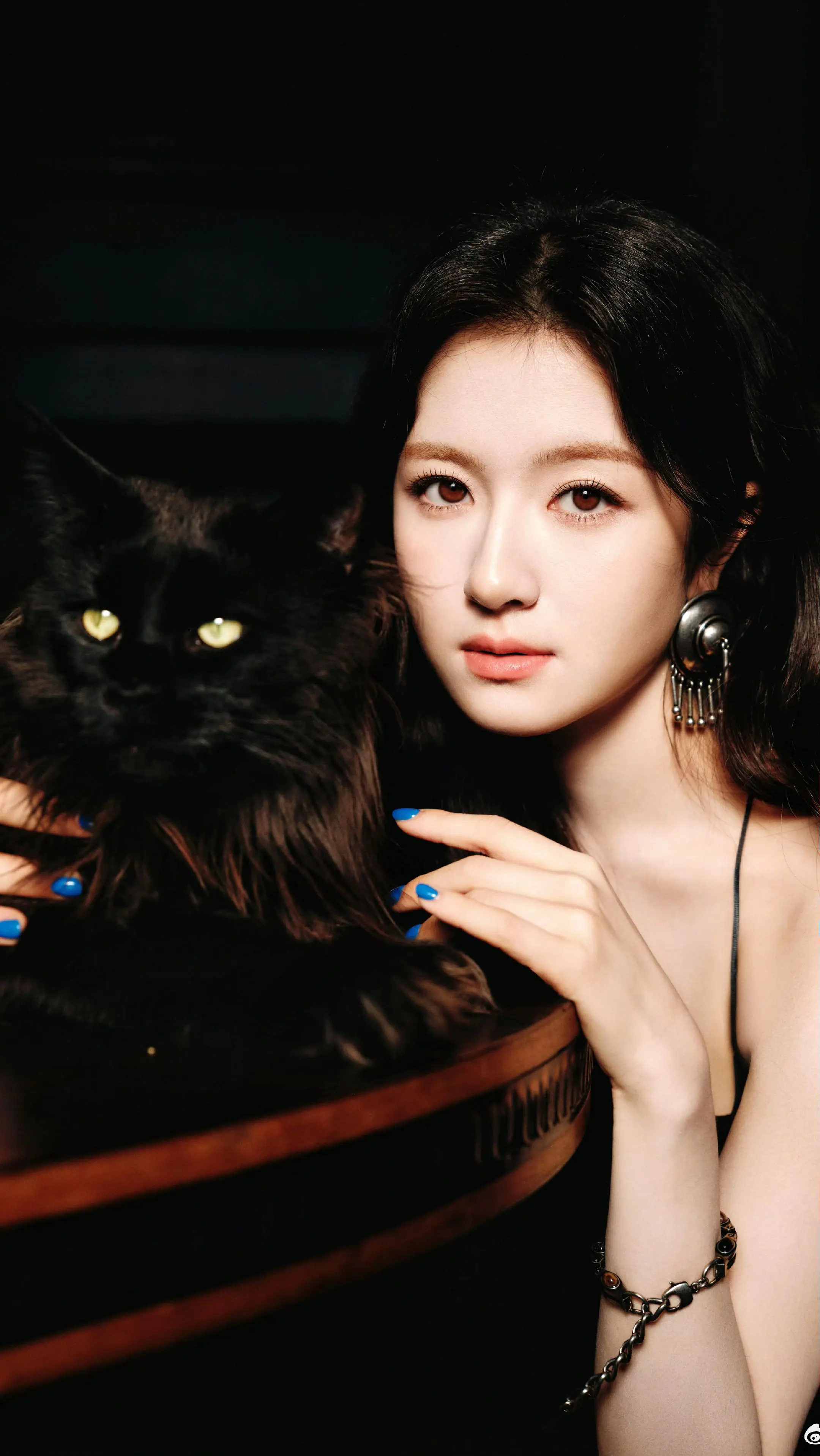 猫猫和猫猫合照了😍