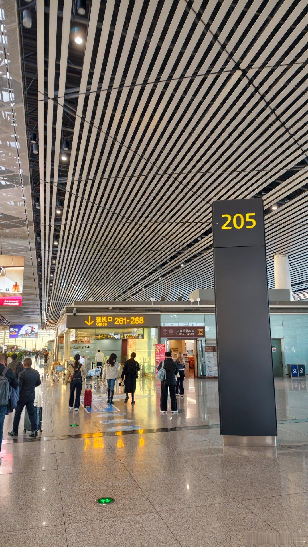 早啊，今儿飞深圳去看一台国产高端豪华SUV上市发布，你们猜猜是啥车 